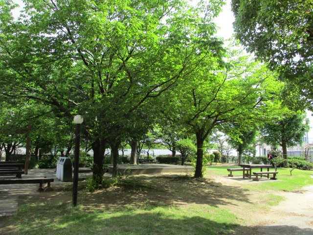 大学・病院の緑地画像
